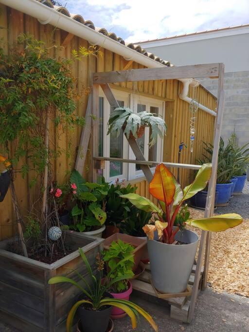 Studio Cocooning Le Porge Exterior foto